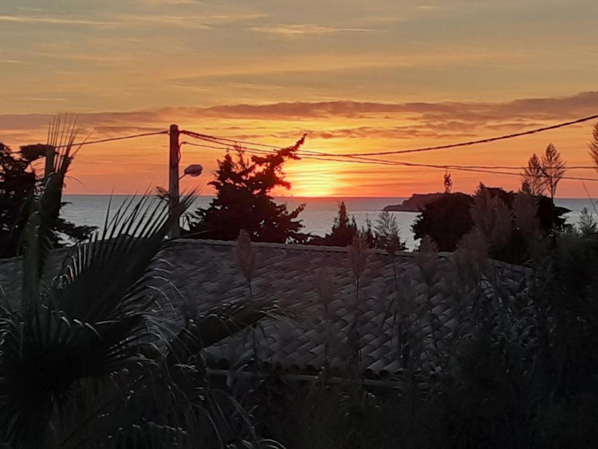 Appartement Terrasse Vue Mer, Plage Gorguette A 1 Minute A Pied, Wifi,Clim Parking Collectif Sanary-sur-Mer Buitenkant foto